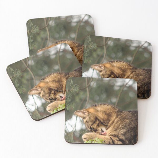 Item preview, tabby cat designed and sold by Francespoppy.