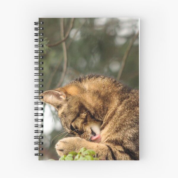 Item preview, tabby cat designed and sold by Francespoppy.