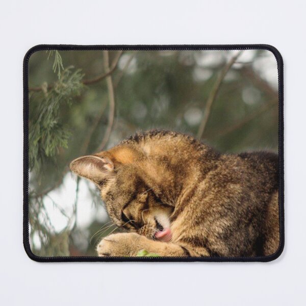 Item preview, tabby cat designed and sold by Francespoppy.