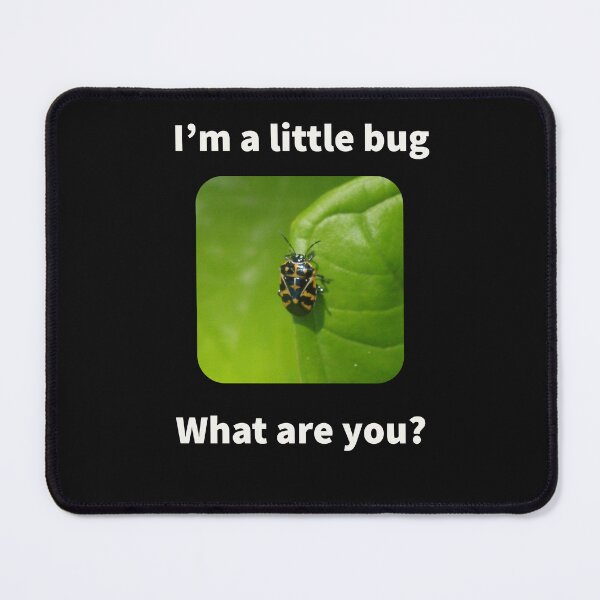 Item preview, I'm a little bug - what are you? designed and sold by TechLaughs.
