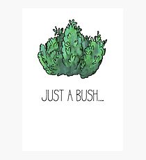 Just a bush.. Photographic Print