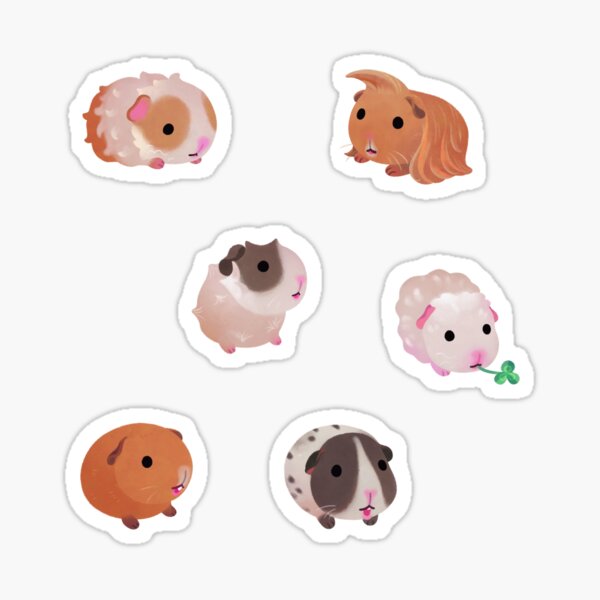 Guinea pig day - dark Sticker