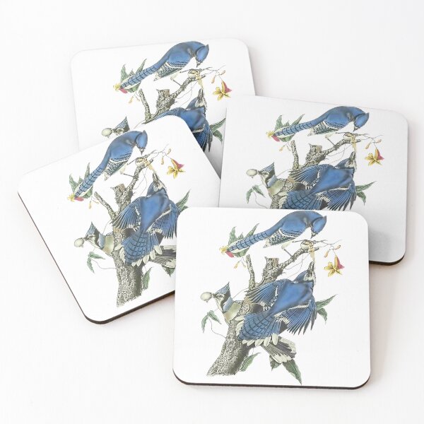 Item preview, Audubon Blue Jay Print designed and sold by nanengen2.