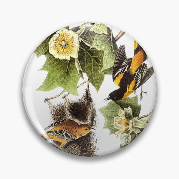 Item preview, Oropéndola del norte de Audubon designed and sold by nanengen2.