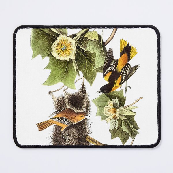 Item preview, Audubon Northern Oriole designed and sold by nanengen2.