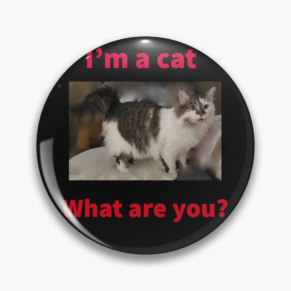 Artikelvorschau, Ich bin eine Katze. Was bist du? entworfen und verkauft von TechLaughs.