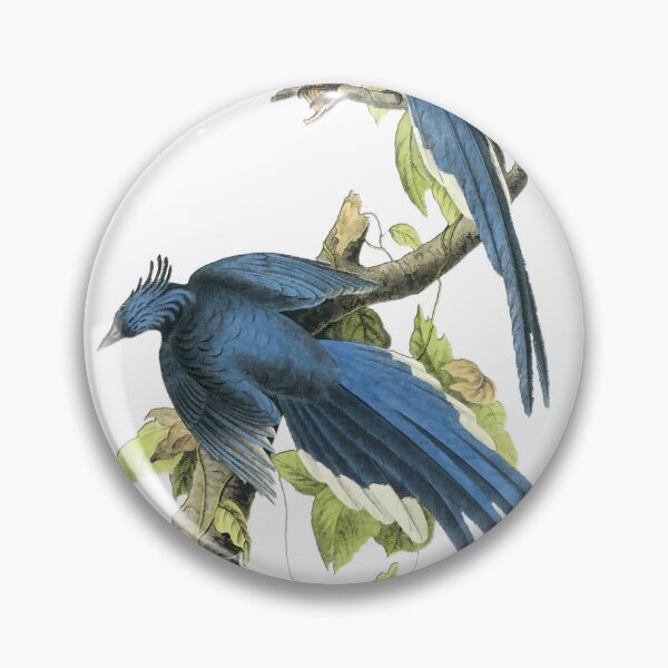 Item preview, Audubon Magpie Print designed and sold by nanengen2.
