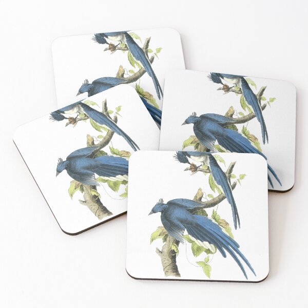 Item preview, Audubon Magpie Print designed and sold by nanengen2.