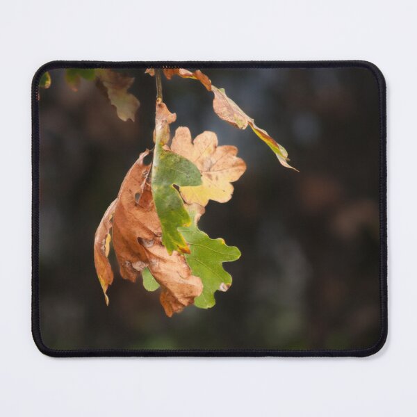 Item preview, autumn oak leaves designed and sold by Francespoppy.