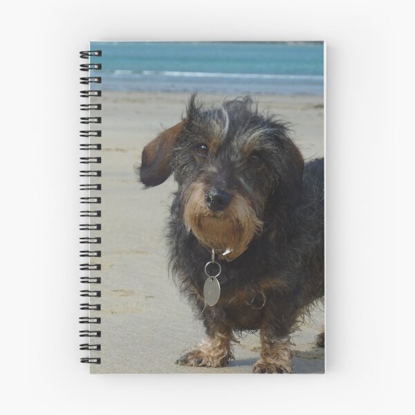 Item preview, Daisy on her Cornish Beach Holiday designed and sold by niki2028.