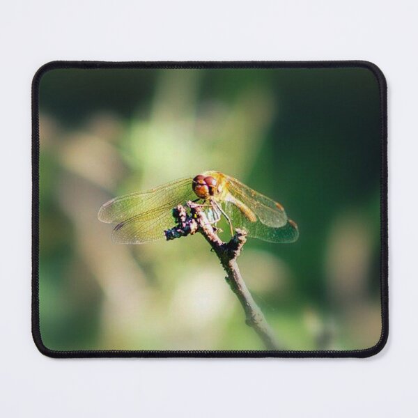 Item preview, dragonfly designed and sold by Francespoppy.