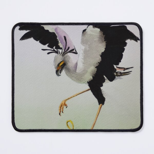 Item preview, Secretary Bird vs snake! designed and sold by VidasArt.