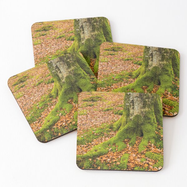 Item preview, Beech Tree Trunk and Leaves in Autumn designed and sold by Cameranick.