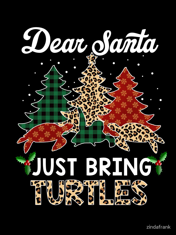 Christmas Turtle T-Shirt, Dear Santa Just Bring Turtles Santa Hat Star Gift for Turtle lovers, Turtle Owners