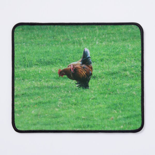 Item preview, chicken designed and sold by Francespoppy.