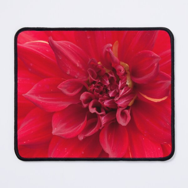 Item preview, Red Dahlia Flower designed and sold by Rocklights.