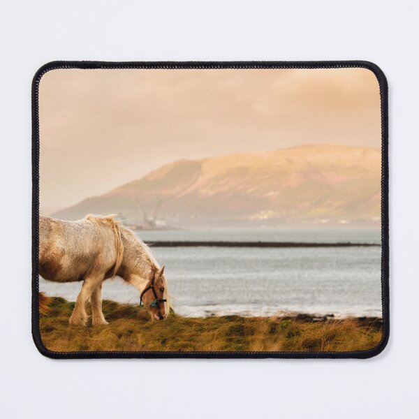 Item preview, Grazing horse, Cooley Peninsula designed and sold by Marcin W Photography.