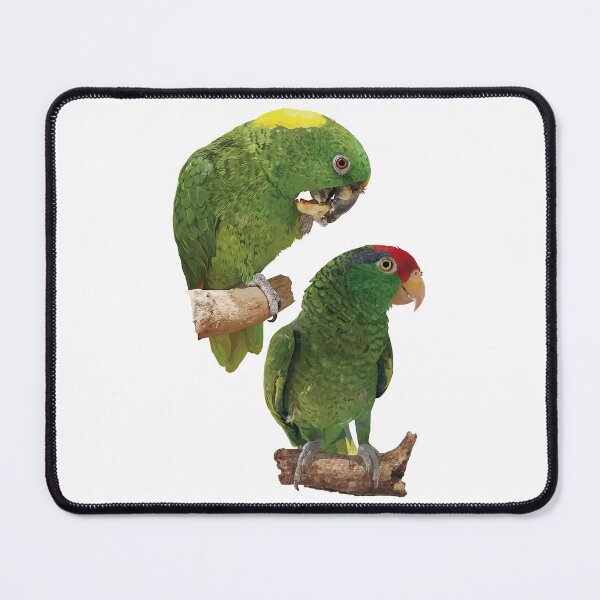 Item preview, parrots designed and sold by obscurite.