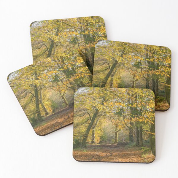 Item preview, The Wentwood Forest in Monmouthshire in Autumn designed and sold by Cameranick.