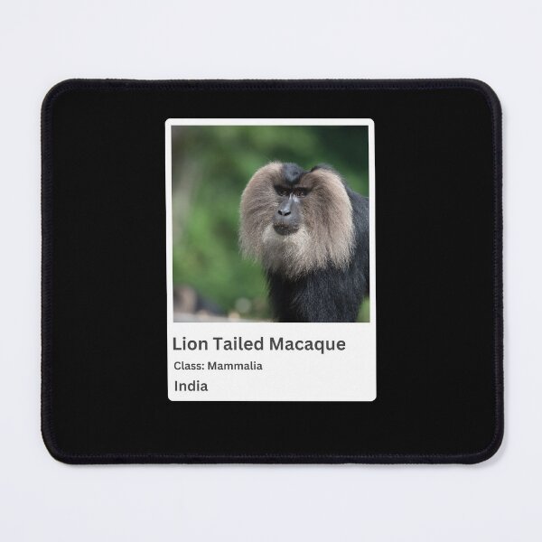Item preview, lion tailed macaque designed and sold by Pixelish.
