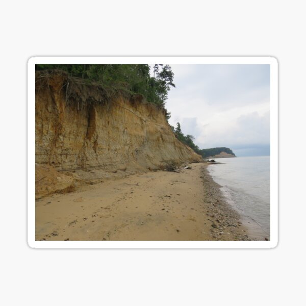 Calvert Cliffs Sticker