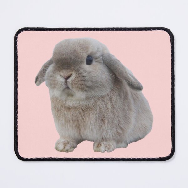 Item preview, Chubby Bunny designed and sold by tttatia.