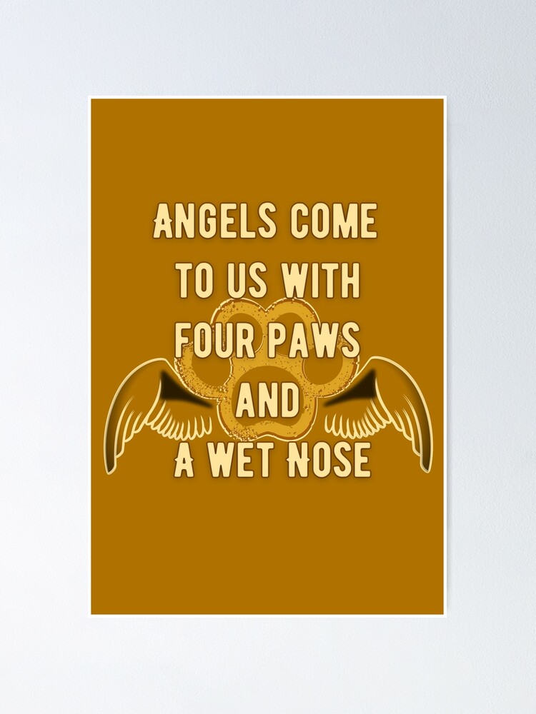 Angels come to us with four paws and a wet nose