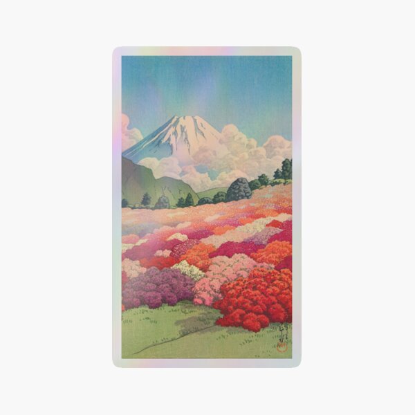 sh,small,507x507-pad,600x600,