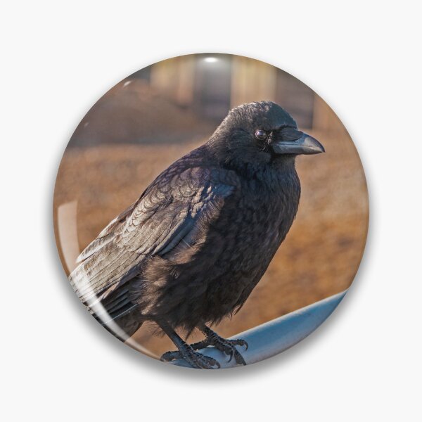 Item preview, A Crow on Bexhill Seafront designed and sold by GingerMan2550.