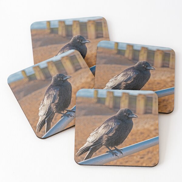 Item preview, A Crow on Bexhill Seafront designed and sold by GingerMan2550.