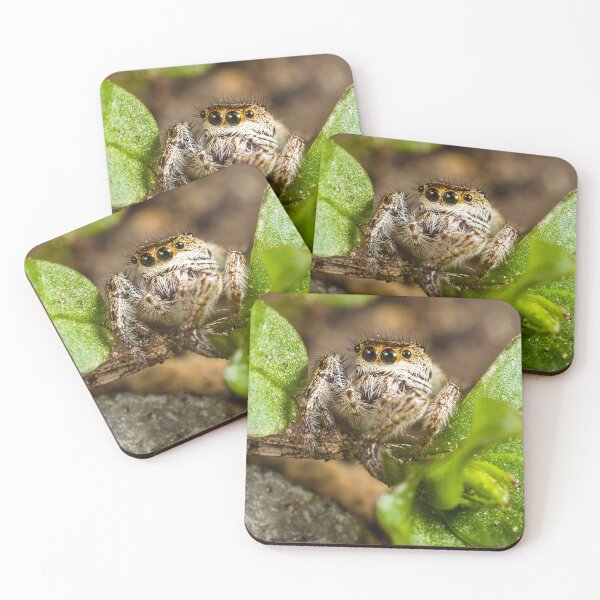 Item preview, Jumping Spider - Salticid designed and sold by AronsTinySafari.