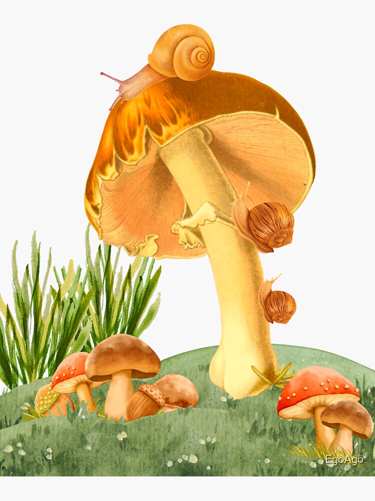 "CUTE SNAILS AND MUSHROOMS COTTAGECORE SNAILS CUTE MUSHROOM