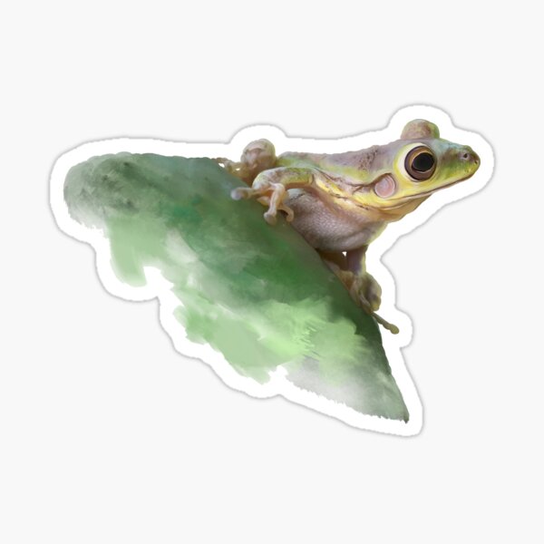 Realistic Frog Stickers for Sale