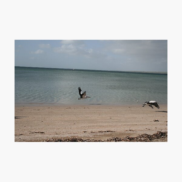 Item preview, Come fly with me. designed and sold by elphonline.