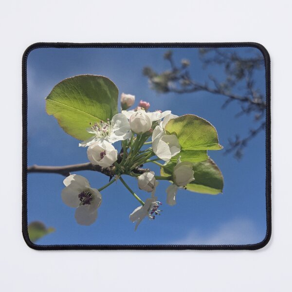 Item preview, Skyward Blossoms designed and sold by RussellsArtMart.
