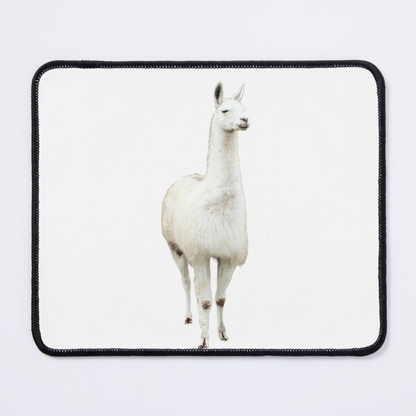 Item preview, Llama designed and sold by pinkal.