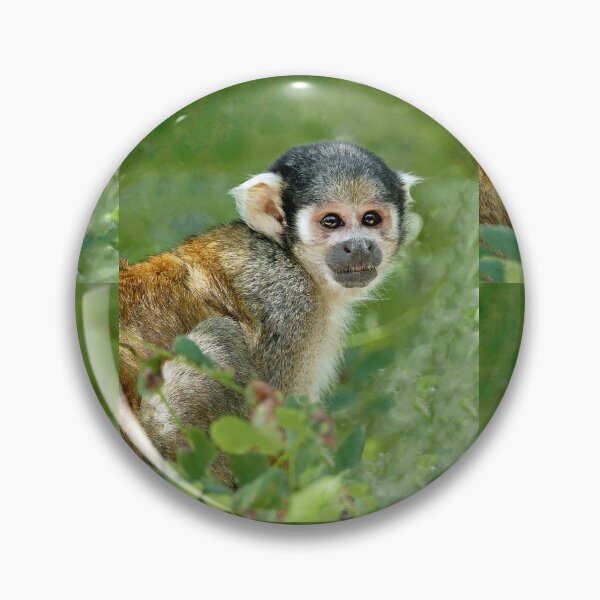 Item preview, r3112/  New finition 2021 " la Vallée des Singes 86 "  par Okaio Créations  Olavia - Olao designed and sold by o.okaïo.