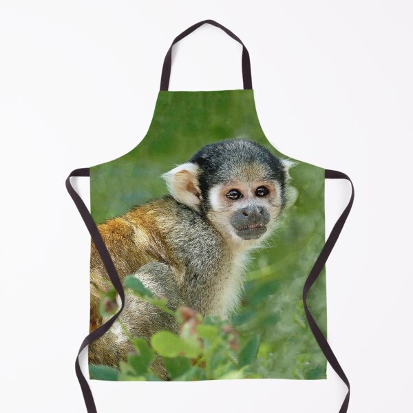 Item preview, r3112/ New finition 2021 " la Vallée des Singes 86 " par Okaio Créations Olavia - Olao designed and sold by o.okaïo.