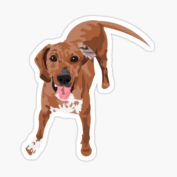 "Finnegan" Sticker for Sale by ArtofACoonhound Redbubble