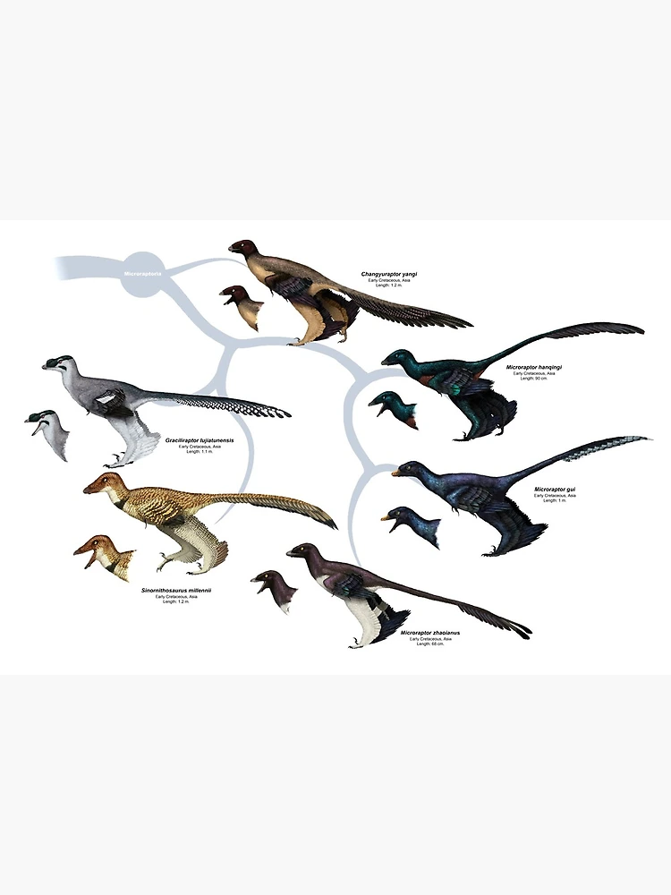 Cute Deinonychus Art Board Print for Sale by saradrawspaleo