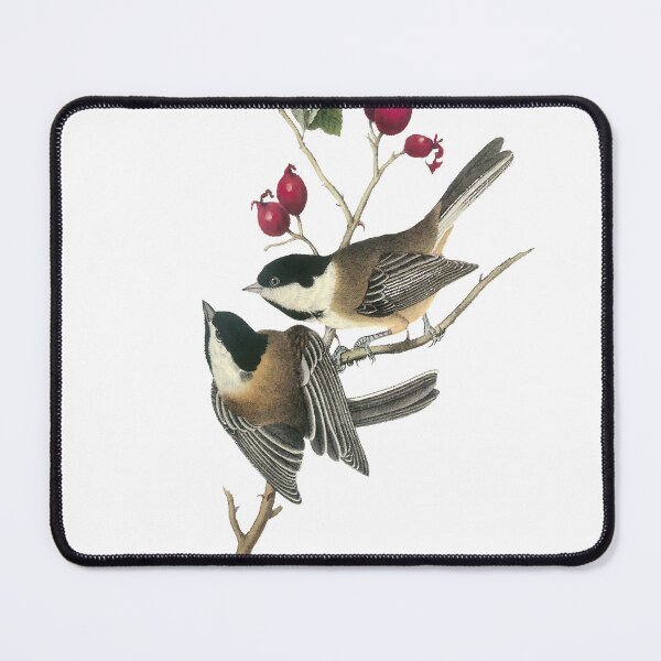Item preview, Audubon Black Capped Chickadees designed and sold by nanengen2.