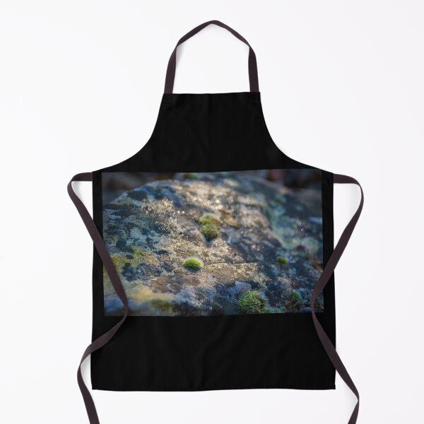 Item preview, Moss on Rock in Sunlight designed and sold by jojobob.