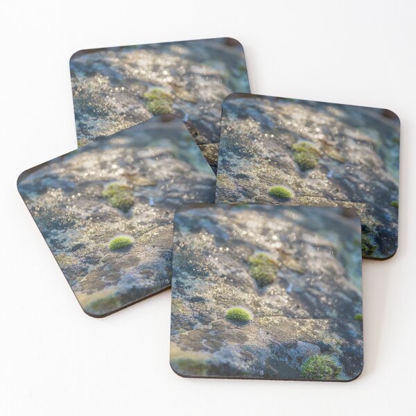 Item preview, Moss on Rock in Sunlight designed and sold by jojobob.