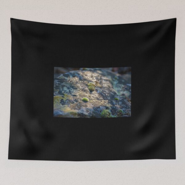 Item preview, Moss on Rock in Sunlight designed and sold by jojobob.