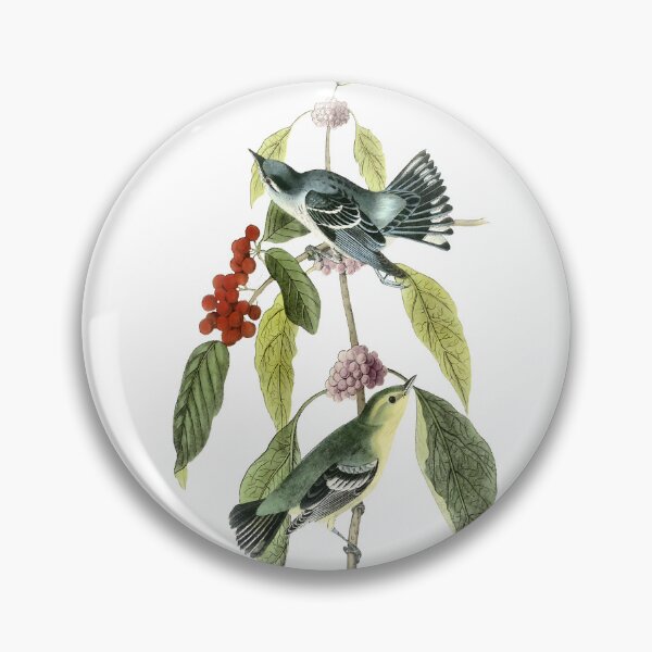 Item preview, Audubon Cerulean Warblers Print designed and sold by nanengen2.