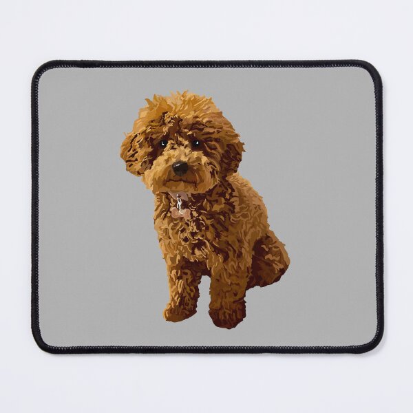 Item preview, Ginger the Toy Poodle on Grey background designed and sold by Quick Brown Fox Canada.