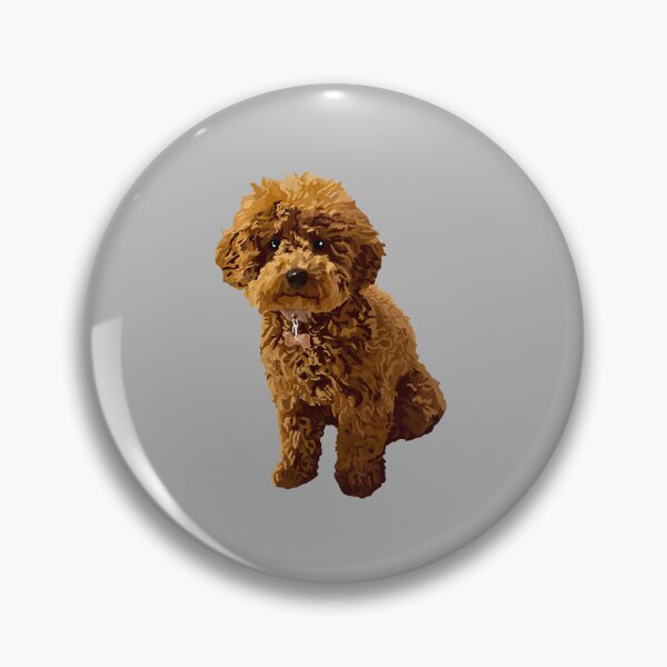 Item preview, Ginger the Toy Poodle on Grey background designed and sold by Quick Brown Fox Canada.
