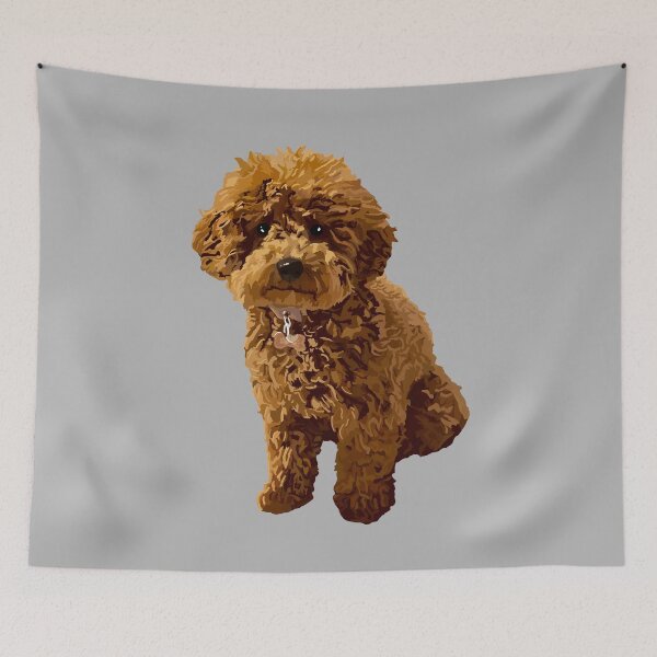Item preview, Ginger the Toy Poodle on Grey background designed and sold by Quick Brown Fox Canada.
