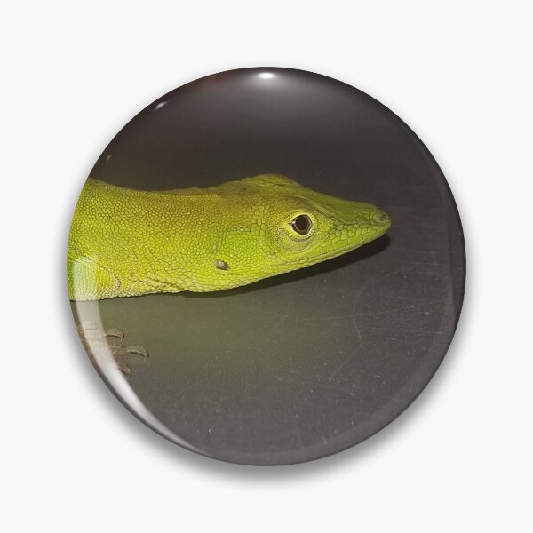 Item preview, Lizard Buddy  designed and sold by sol2020.