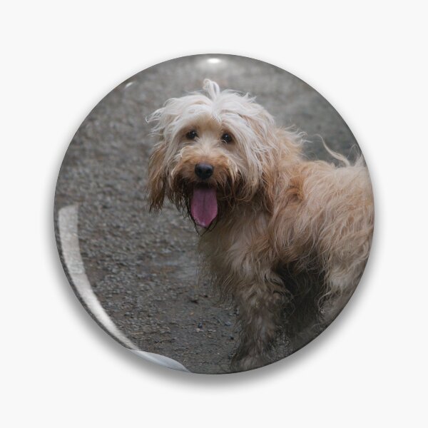 Item preview, Cockapoo Dog Playing With A Frisbee designed and sold by thelemmingface.
